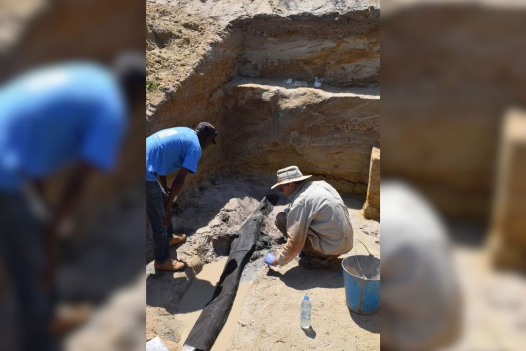 Otra estructura de madera, esta vez hallada en Zambia