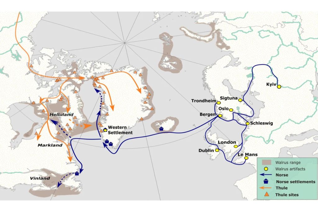 Las rutas del marfil revelan que vikingos e inuit cruzaron sus caminos en los confines del Ártico