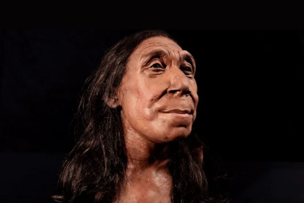El nuevo modelo en 3D muestra que, aunque los neandertales eran una especie distinta a la nuestra, compartían con nosotros muchas más similitudes de las que imaginábamos