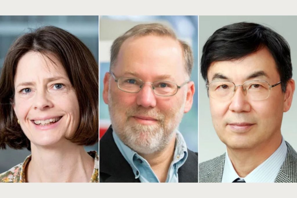 Con este hallazgo, la medicina cuenta con nuevas herramientas para diseñar terapias de precisión inmunológica