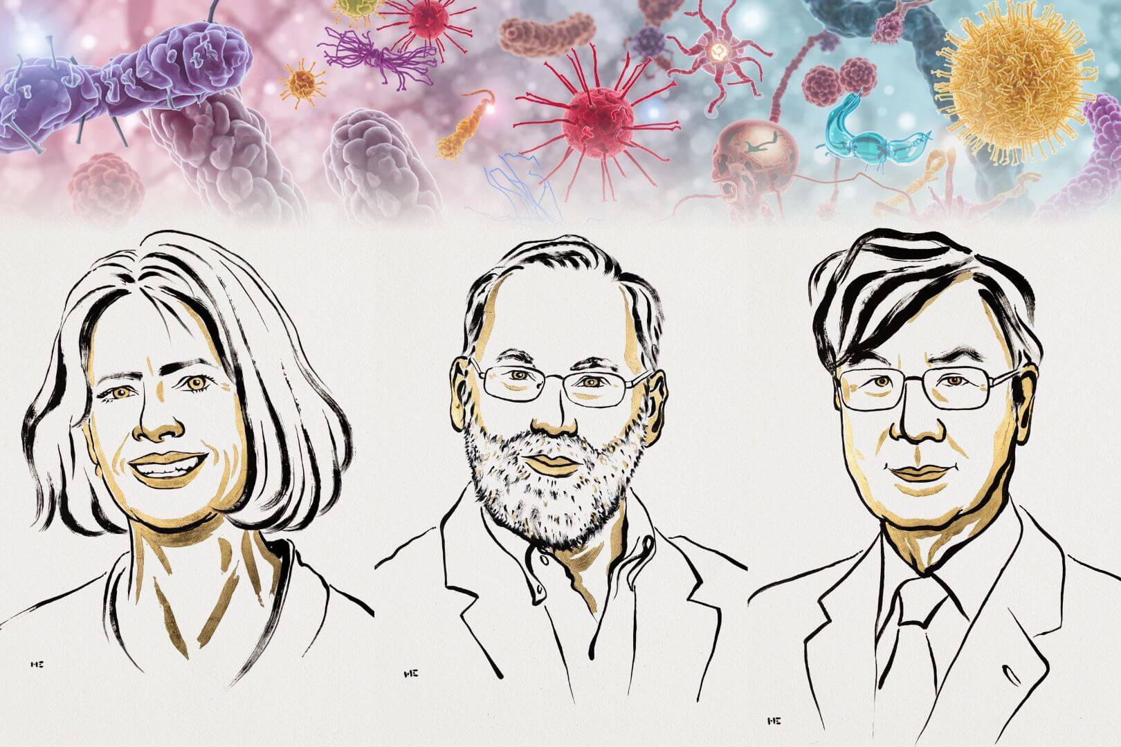 Gracias a este descubrimiento, hoy entendemos mejor por qué el cuerpo no se ataca a sí mismo de forma constante