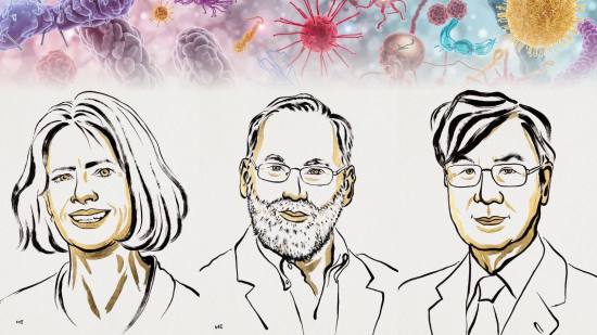 Gracias a este descubrimiento, hoy entendemos mejor por qué el cuerpo no se ataca a sí mismo de forma constante