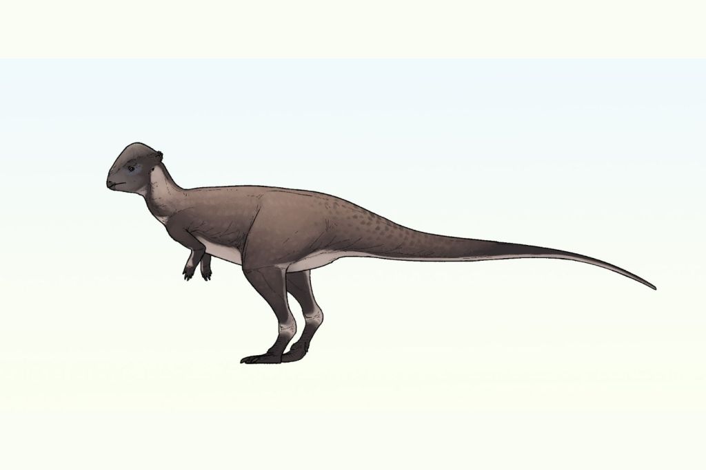 Una representación artística muestra cómo pudo haber sido este dinosaurio en su entorno natural durante el Cretácico