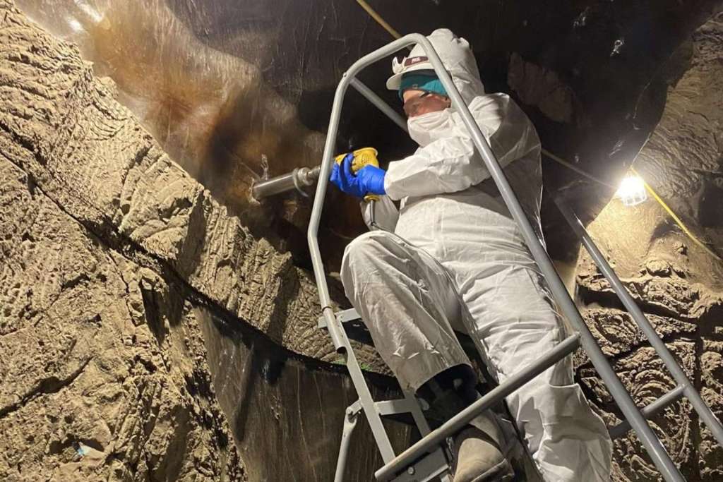 Científicos lograron reactivar microbios que permanecían congelados en el permafrost desde la última glaciación