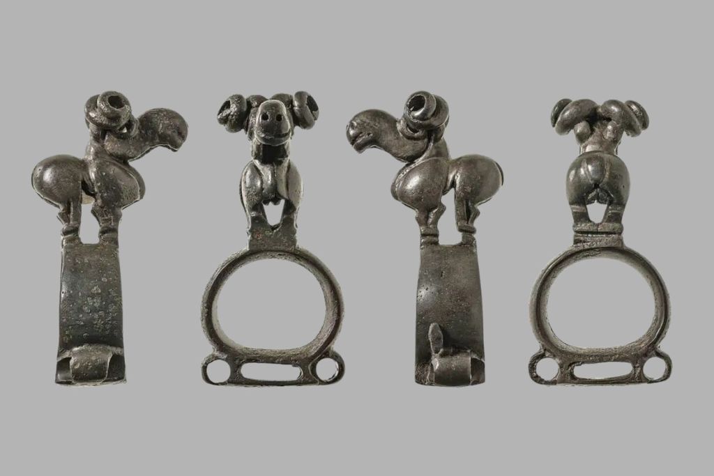 Remate de bronce con forma de cabeza de carnero hallado en el túmulo funerario de Tunnug 1, en Tuva, Rusia