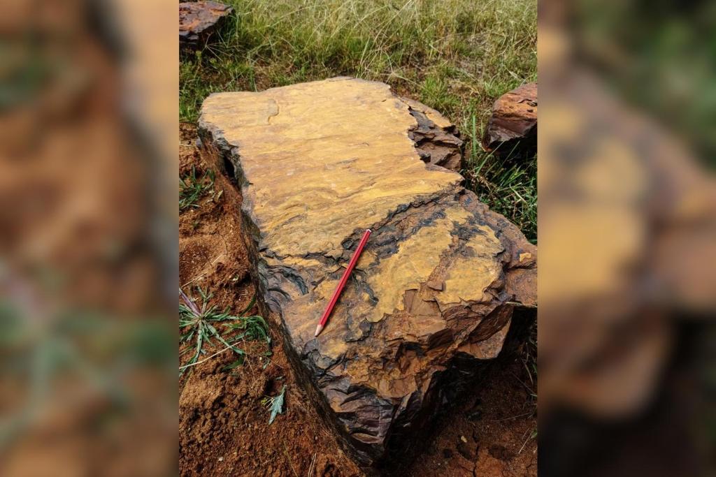 En McGraths Flat, unas rocas de intenso color rojo esconden fósiles únicos; su composición se debe a un mineral de hierro llamado goethita