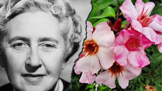 Un veneno africano que paraliza el corazón. Esta era la toxina real que inspiró tres asesinatos en la ficción de Agatha Christie
