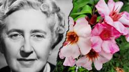 Un veneno africano que paraliza el corazón. Esta era la toxina real que inspiró tres asesinatos en la ficción de Agatha Christie