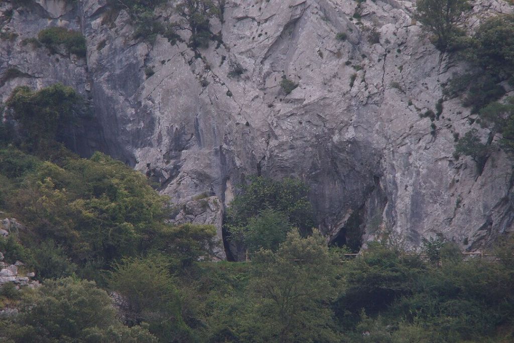 cueva de Covalanas