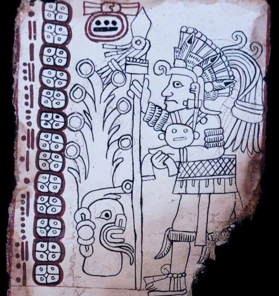 Códice Maya de México