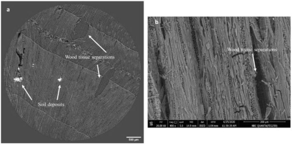 Segundo barco solar de Keops