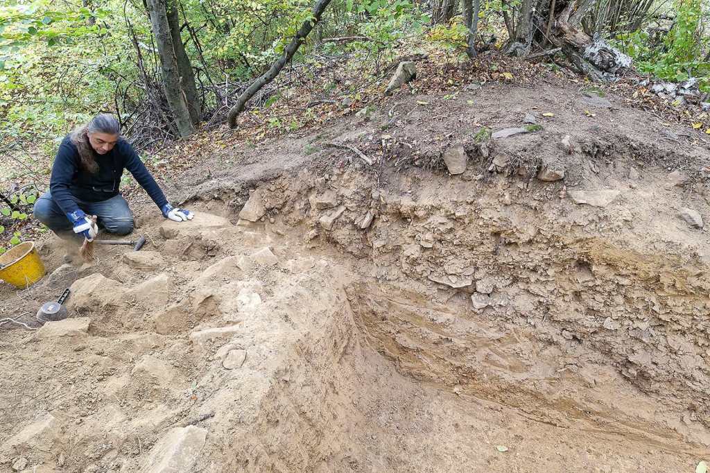 Yacimiento de Gradina