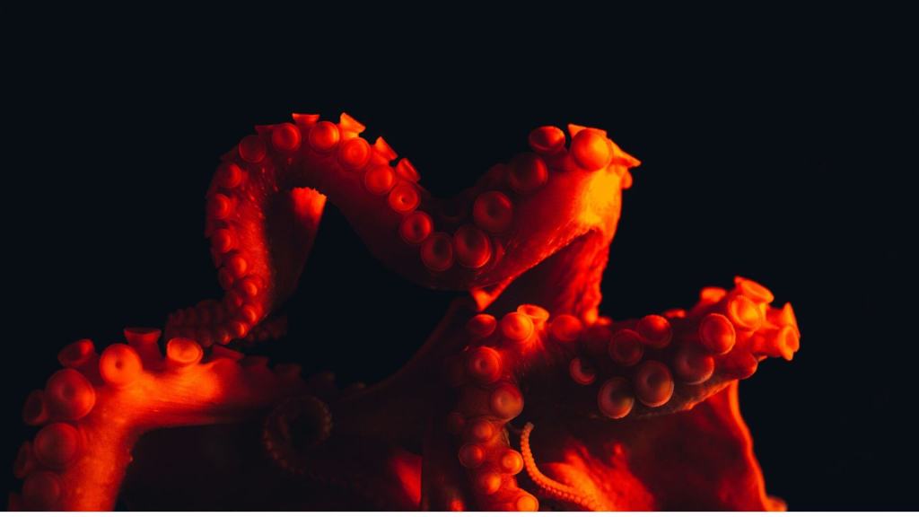 Este avance abre el camino hacia materiales inteligentes y ecológicos inspirados en los animales. Fuente: Masaaki Komori / Unsplash.