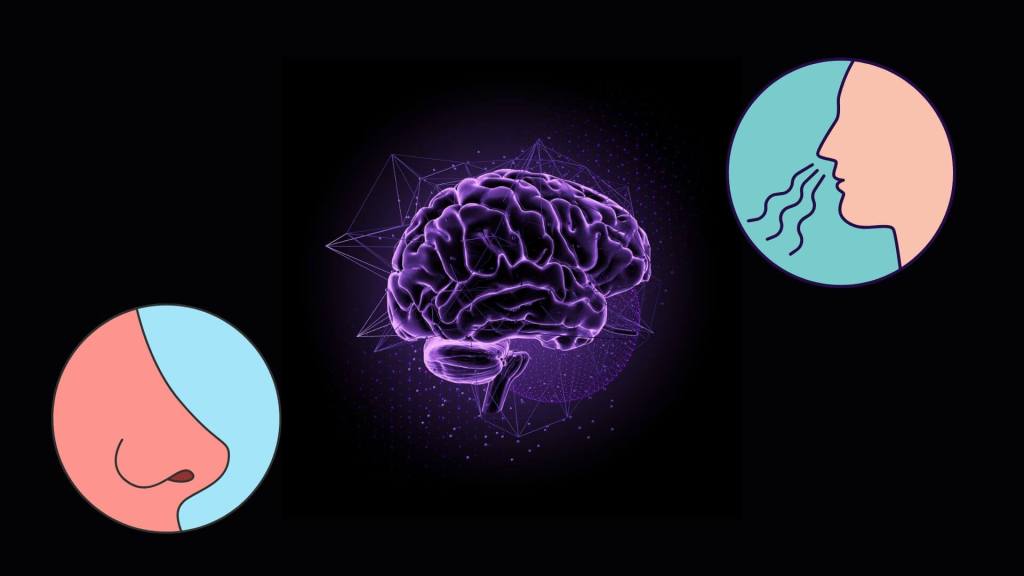 Los hallazgos podrían ayudar a detectar de forma más precisa trastornos del olfato.