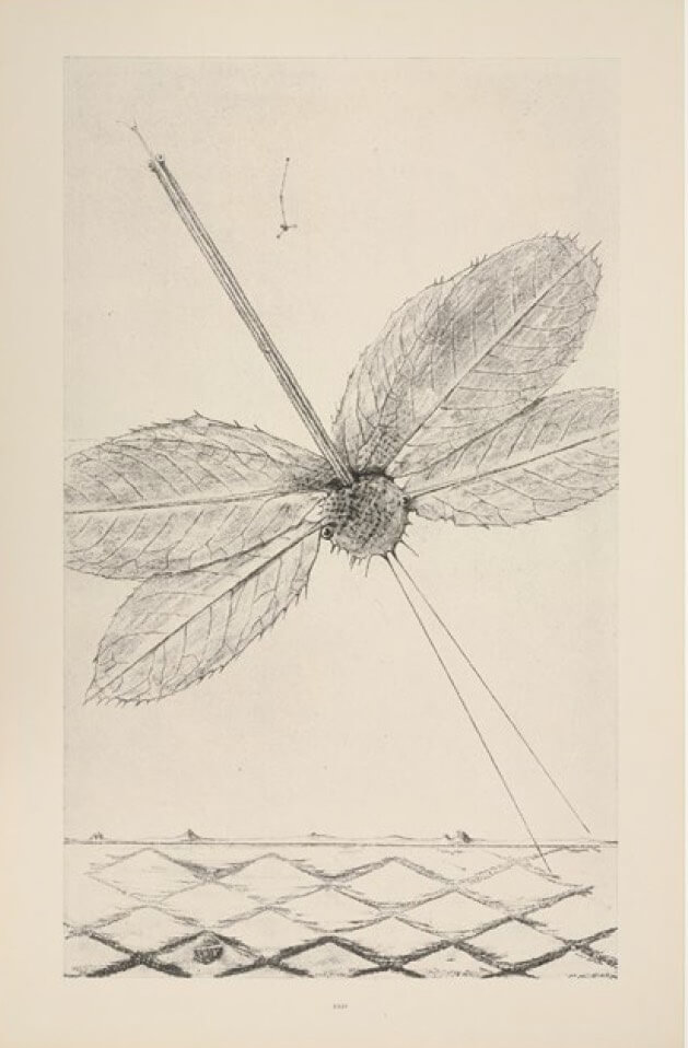 Evocación del mundo natural.
Los rayos adolescentes (1926). Lámina XXIV de la serie Historia natural.
Fototipia sobre papel.