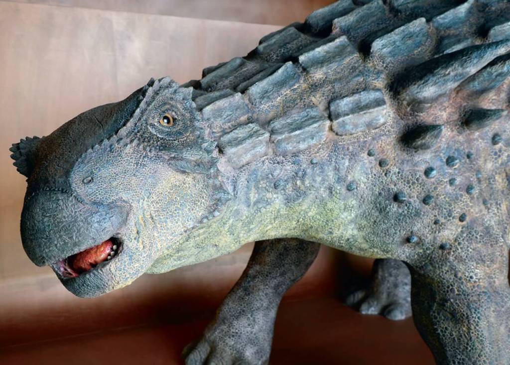 Sobre estas líneas, una reconstrucción escultórica que podemos ver en el Centro Satélite «Valcaria» de Dinópolis en Ariño. Se trata del dinosaurio acorazado Europelta carbonensis, encontrado en sedimentos del Cretácico Inferior en la localidad turolense de Ariño (España).