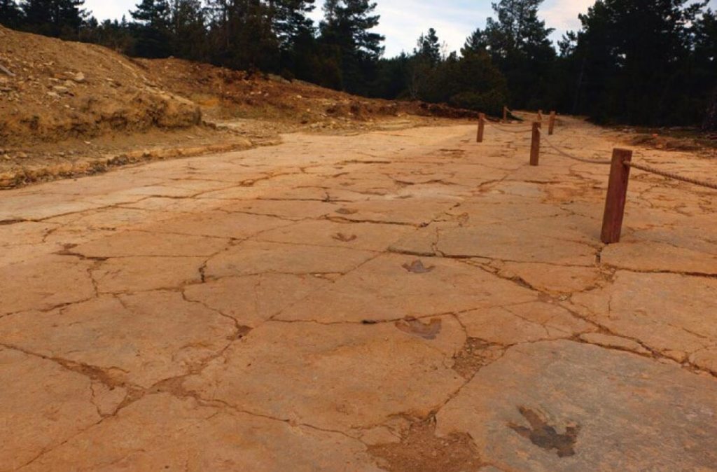 En la fotografía de arriba podemos ver el rastro de un dinosaurio terópodo del Cretácico Superior en el yacimiento Más de Pérez en Mosqueruela (Teruel).