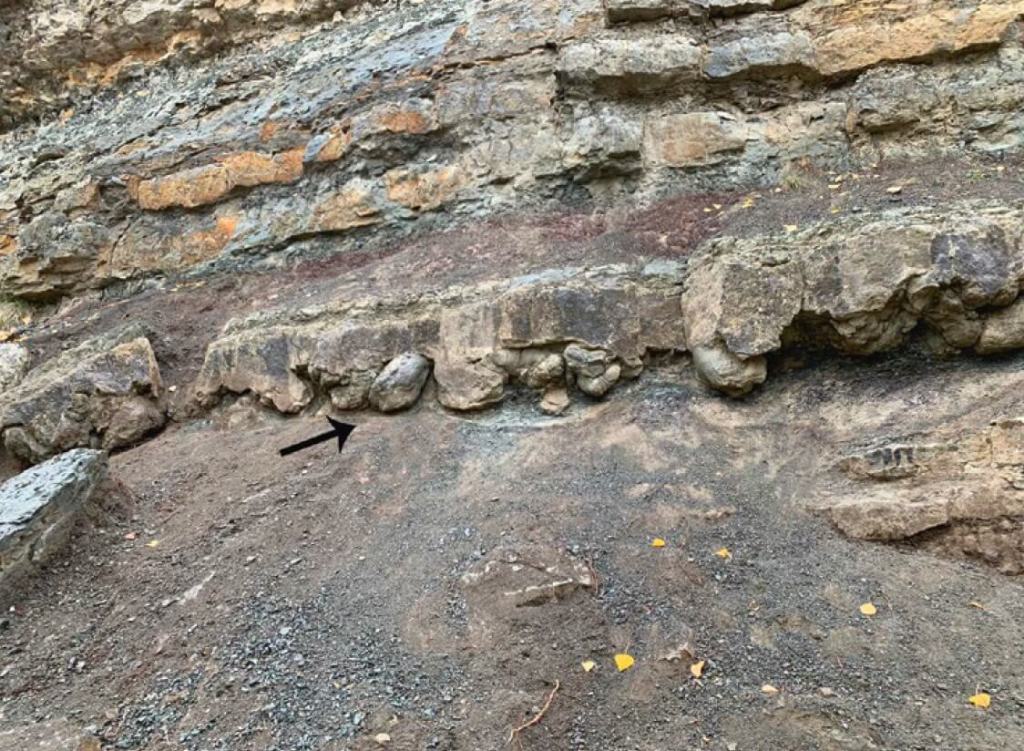 La flecha negra marca el afloramiento principal del yacimiento Río Alcalá en Alcalá de la Selva, en Teruel, que constituye uno de los mejores ejemplos con icnitas 4D del mundo. Nótese que las huellas están conservadas como rellenos de la pisada que dejó el dinosaurio.