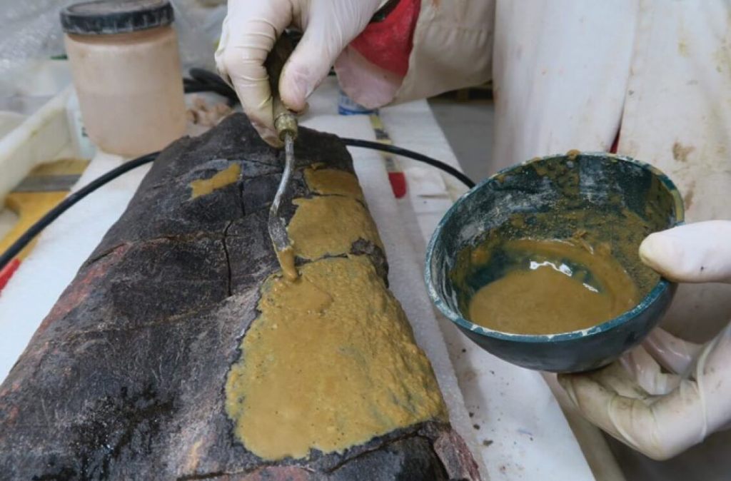 Limpieza de la superficie de un hueso de dinosaurio con el uso de resinas de intercambio iónico en el laboratorio paleontológico de la Fundación Conjunto Paleontológico de Teruel-Dinópolis.