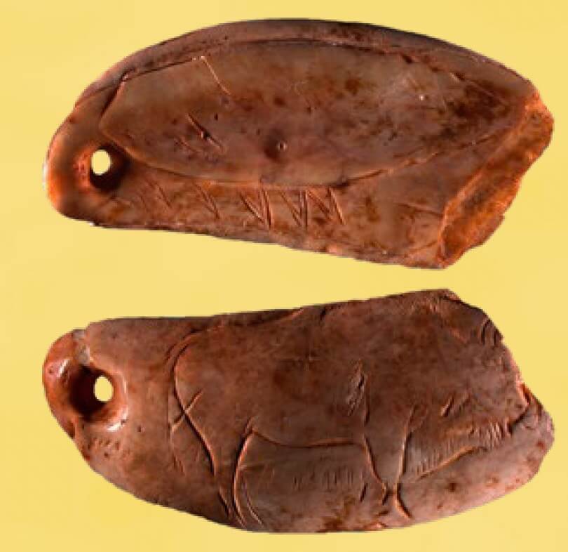 Colgante sobre diente de cachalote, con una figura de cachalote y un bisonte, procedente de Las Caldas (Asturias). Magdaleniense.