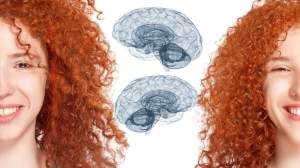 Un hallazgo cambia el debate sobre la inteligencia: los gemelos idénticos pueden tener diferencias significativas en el coeficiente intelectual