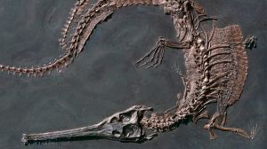 Los dinosaurios a través del tiempo geológico: la era en que la Tierra pertenecía a los gigantes