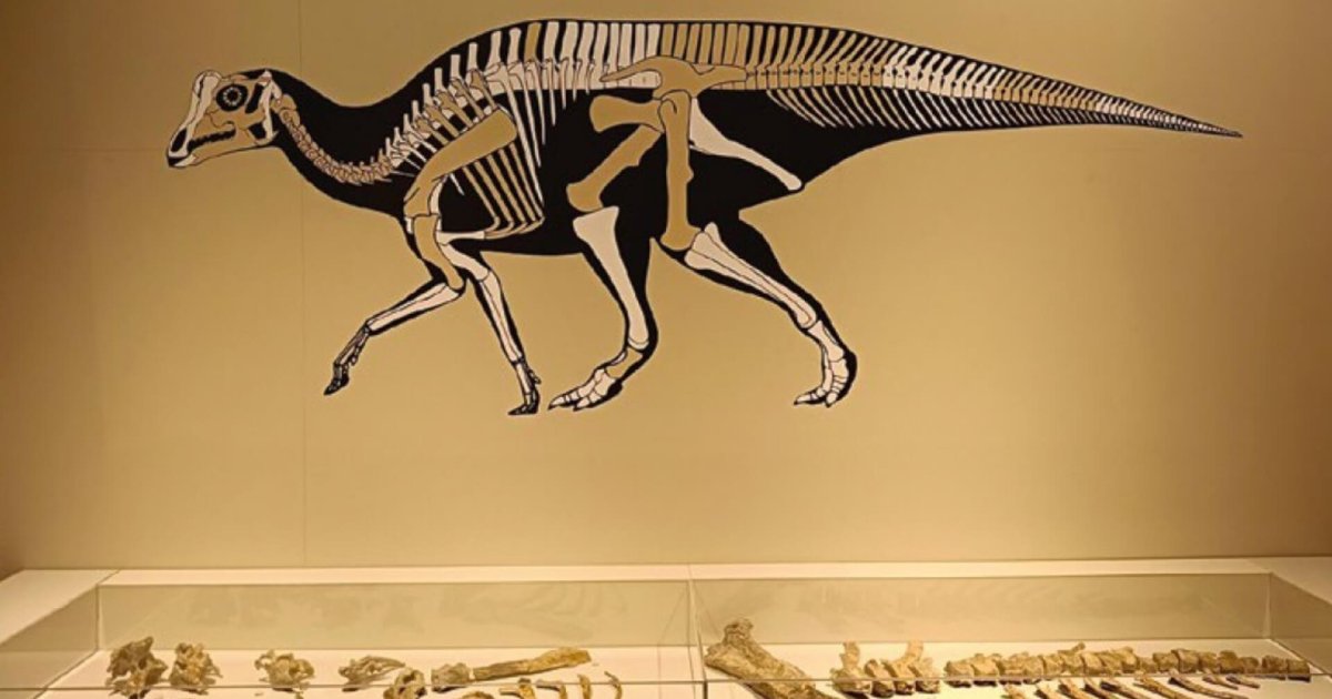 El ocaso de los dinosaurios: del reinado mesozoico al amanecer de los mamíferos