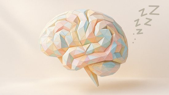 Cuando no dormimos bien, el cerebro se “apaga” por segundos para limpiarse, sacrificando la atención.