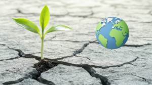 La Tierra pierde especies más despacio de lo esperado: la investigación que reescribe la historia de las extinciones