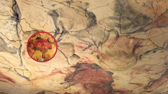 La cueva de Altamira: arte, refugio y memoria