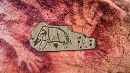 El impresionante conjunto de arte mueble del Paleolítico europeo que transforma nuestra visión de las primeras sociedades