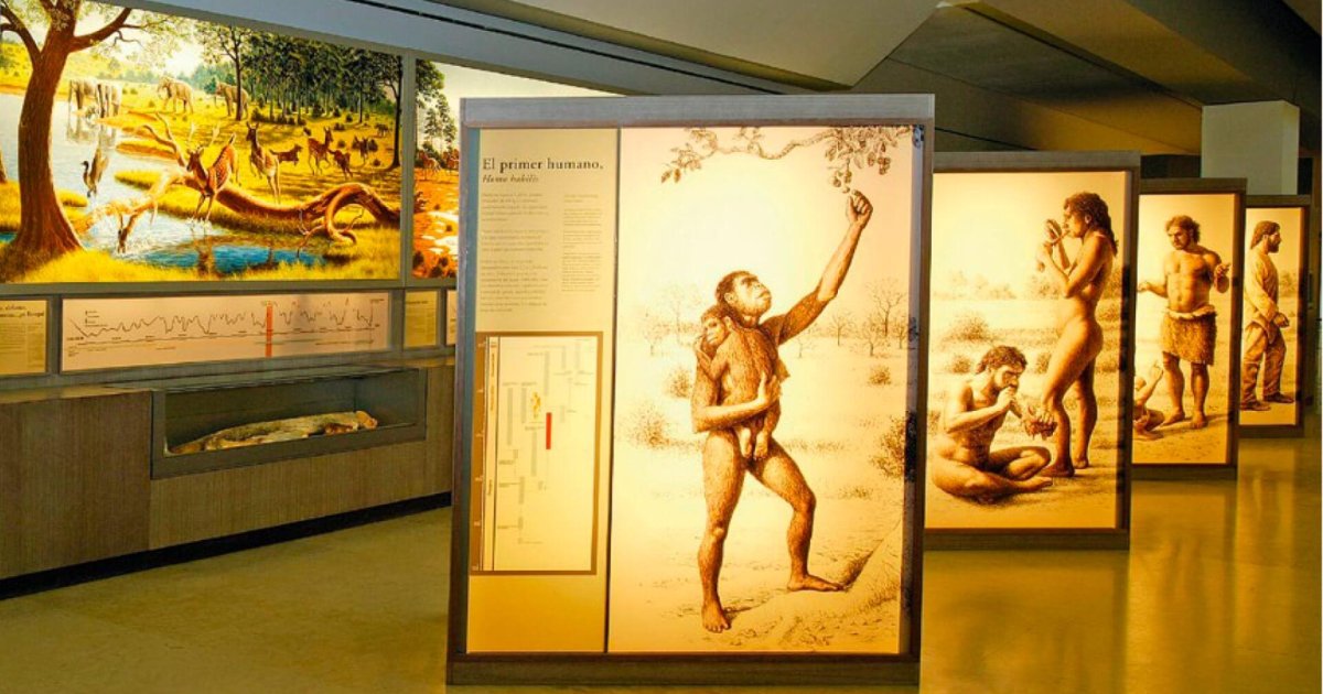 Altamira y la protección global del patrimonio: excavaciones, estudios y nuevas líneas de investigación