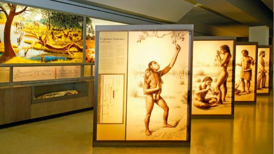 Vitrinas con objetos y paneles informativos sobre los modos de vida de la época de Altamira, de la exposición permanente del Museo Nacional y Centro de Investigación de Altamira.