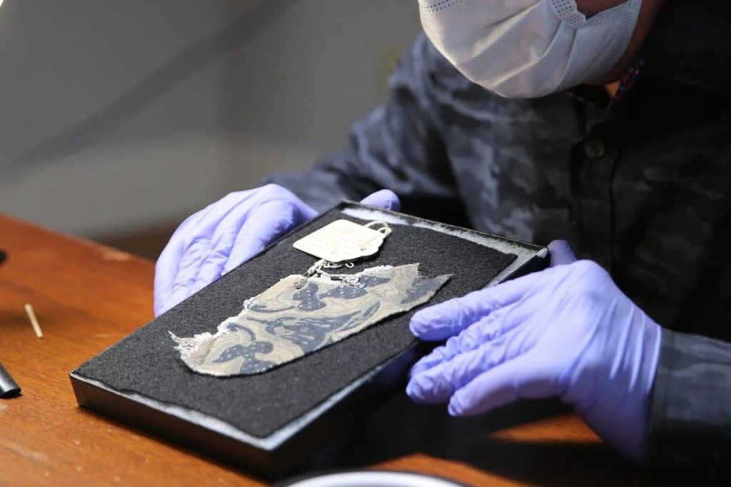 El análisis de la sangre presente en la tela del sofá reveló un tipo raro de cromosoma Y, coincidente con el que porta un pariente lejano de Hitler por línea paterna