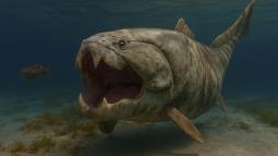 Un nuevo estudio revela que Dunkleosteus terrelli, el fósil marino más famoso de Cleveland, tenía una anatomía tan extraña que reescribe la historia evolutiva de los peces prehistóricos