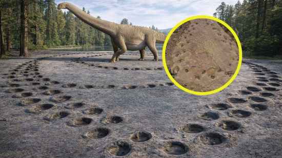 El misterioso rastro en círculos de un dinosaurio de cuello largo revela secretos inesperados