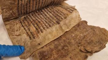 Hallan un libro de hace 800 años hecho con piel de foca