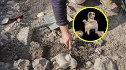 Durante los trabajos preliminares para la ampliación de una carretera en el norte de Israel, salió a la luz esta antigua vasija ritual