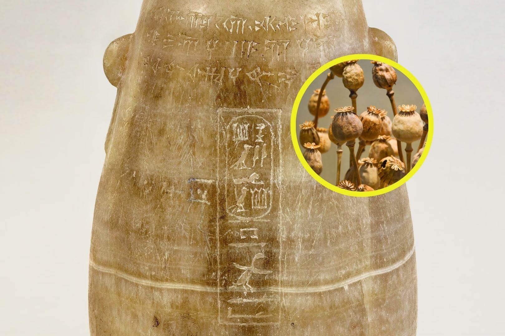 El análisis químico del interior de una antigua vasija reveló compuestos orgánicos que delatan una sustancia utilizada durante siglos en contextos rituales