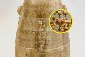 Descubren un contenido inesperado en una vasija egipcia de alabastro dedicada a un rey persa: el hallazgo que intriga a los arqueólogos
