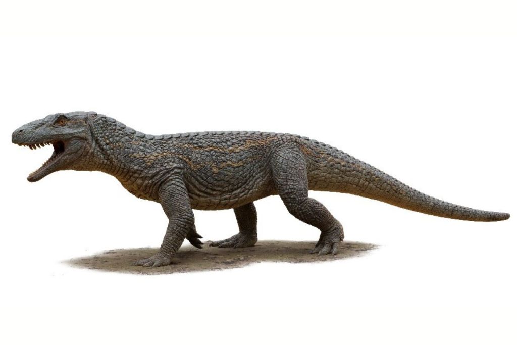 Tainrakuasuchus bellator