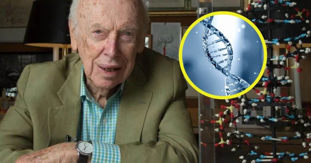 Muere James Watson, el joven genio que descubrió la estructura del ADN a los 25 años y revolucionó para siempre la forma en que entendemos la vida