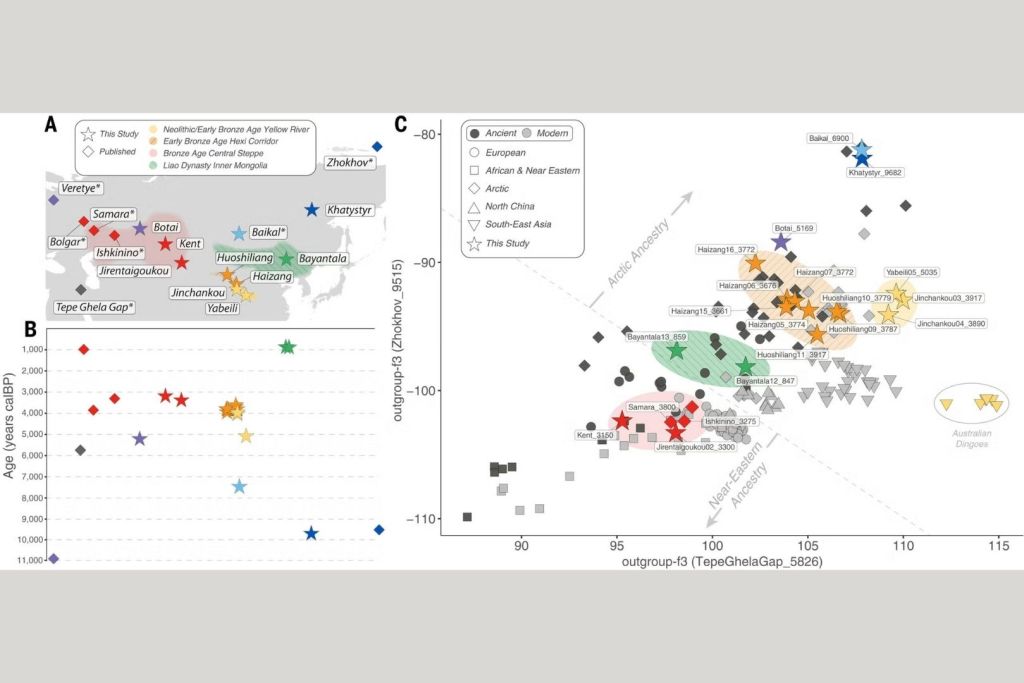 Procedencia, antigüedad y linaje genético de los perros antiguos recientemente secuenciados