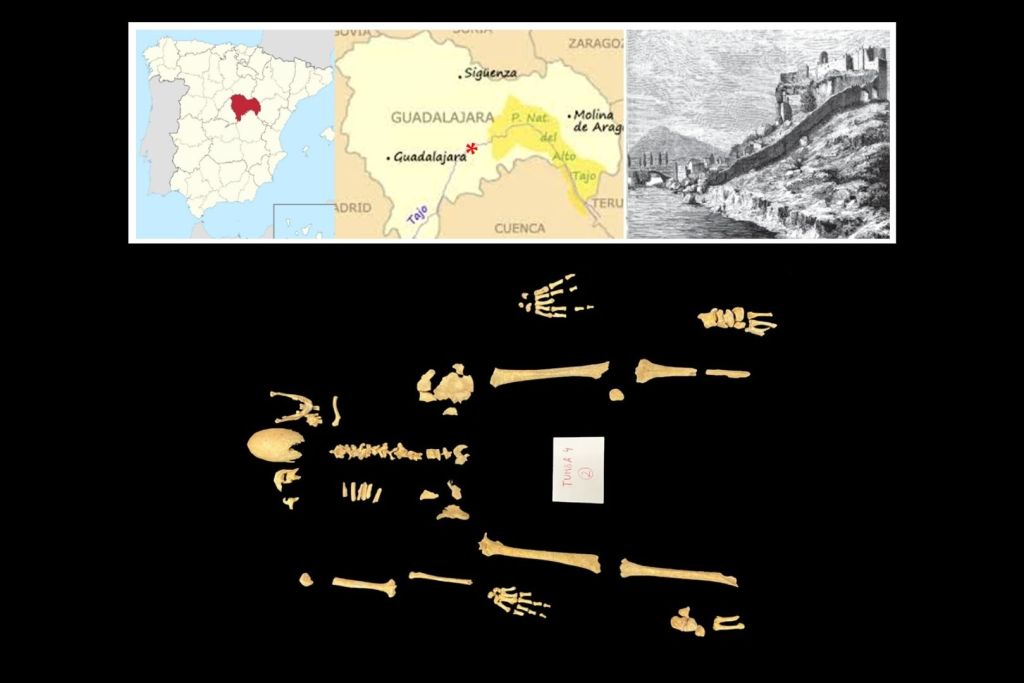 Solo se conservaron unos pocos restos óseos del caballero medieval