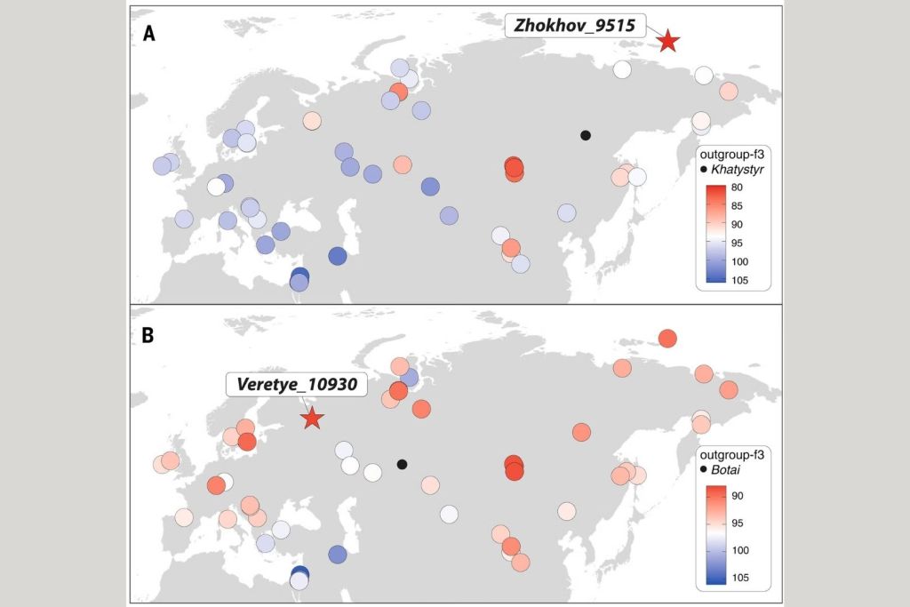 Nivel de parentesco genético entre los perros de la cueva Khatystyr (~9.682 años antes del presente) y los de Botai (~5.169 años), comparado con otros perros antiguos