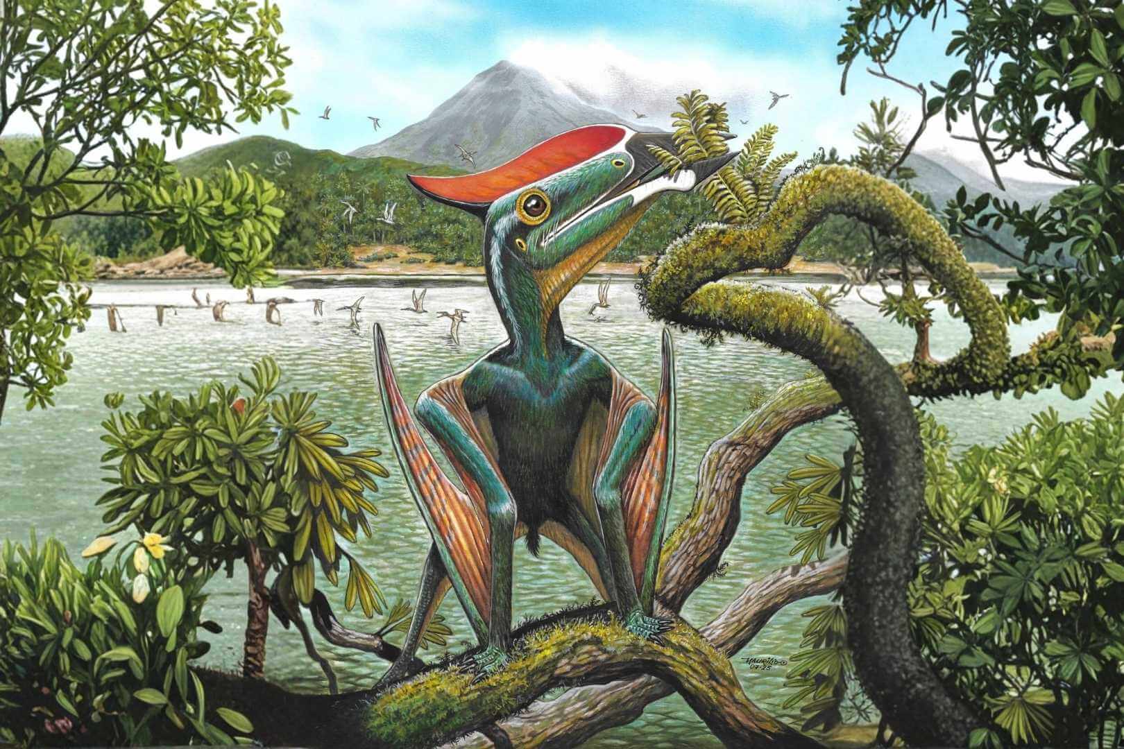 Recreación artística del pterosaurio Sinopterus atavismus