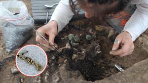Descubren un enterramiento romano de hace 2.000 años con joyas, monedas y objetos rituales intactos
