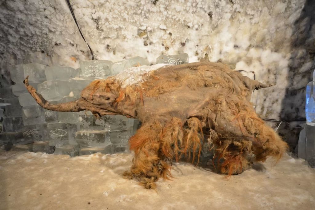 Se estima que Yuka tenía entre cinco y seis años al momento de su muerte