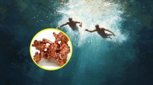 Esta sorprendente mina de cobre submarina hallada en Turquía parece confirmar el enigmático “cobre de los buzos” descrito por Aristóteles