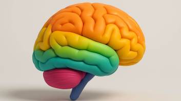 El cerebro humano cambia de rumbo cuatro veces a lo largo de la vida.